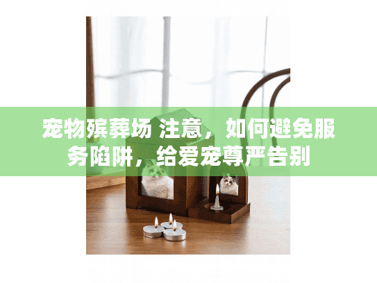 宠物殡葬场 注意，如何避免服务陷阱，给爱宠尊严告别