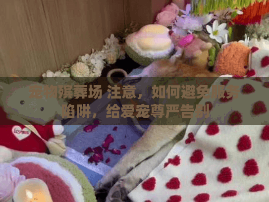 宠物殡葬场 注意，如何避免服务陷阱，给爱宠尊严告别