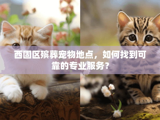西固区殡葬宠物地点，如何找到可靠的专业服务？