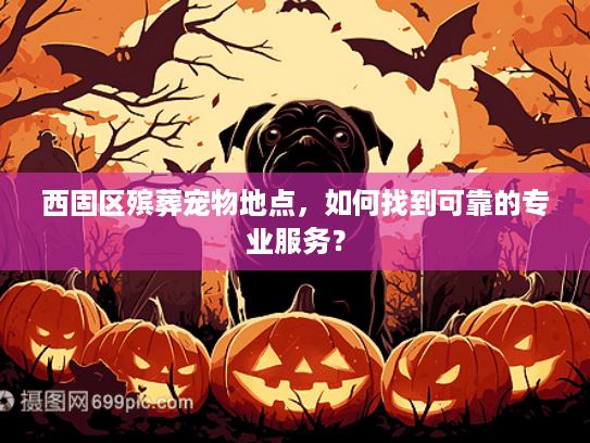 西固区殡葬宠物地点，如何找到可靠的专业服务？