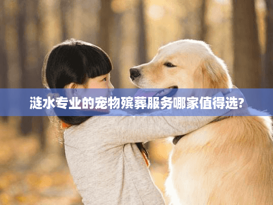涟水专业的宠物殡葬服务哪家值得选?