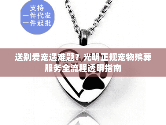 送别爱宠遇难题？光明正规宠物殡葬服务全流程透明指南