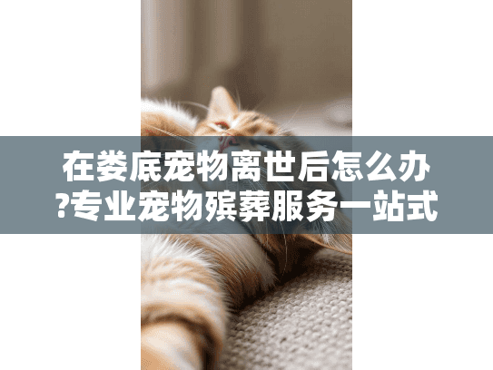 在娄底宠物离世后怎么办?专业宠物殡葬服务一站式解决
