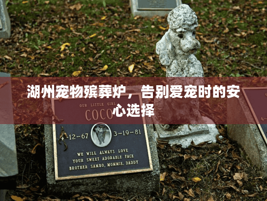 湖州宠物殡葬炉，告别爱宠时的安心选择