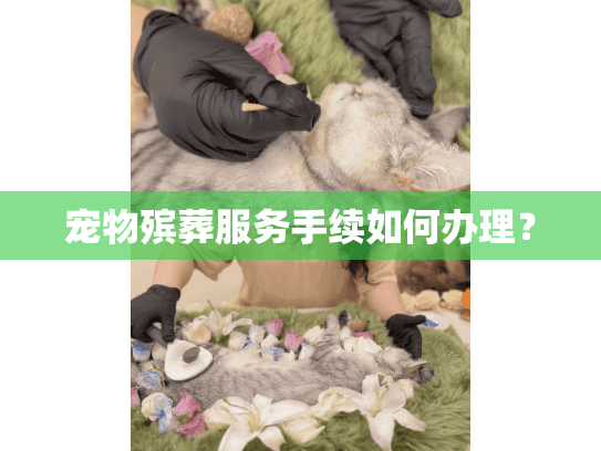 宠物殡葬服务手续如何办理？