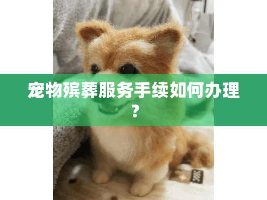 宠物殡葬服务手续如何办理？