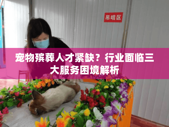 宠物殡葬人才紧缺？行业面临三大服务困境解析