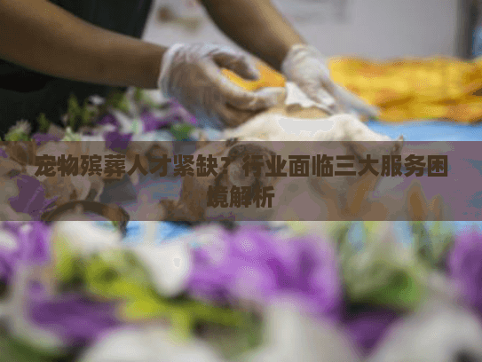宠物殡葬人才紧缺？行业面临三大服务困境解析