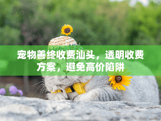 宠物善终收费汕头，透明收费方案，避免高价陷阱