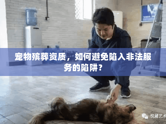 宠物殡葬资质，如何避免陷入非法服务的陷阱？