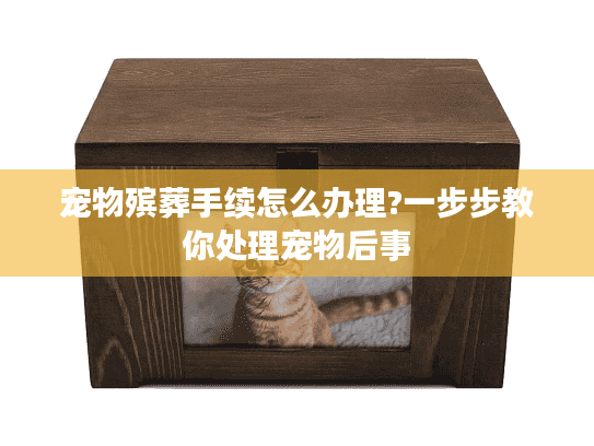 宠物殡葬手续怎么办理?一步步教你处理宠物后事