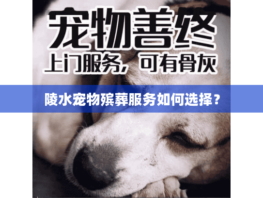 陵水宠物殡葬服务如何选择？