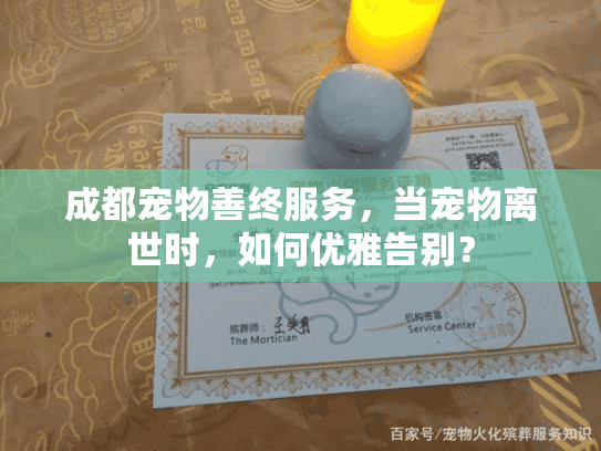 成都宠物善终服务，当宠物离世时，如何优雅告别？