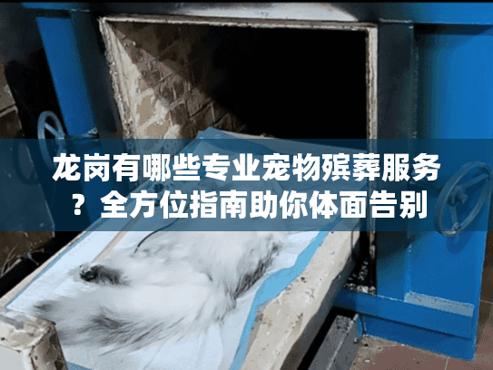 龙岗有哪些专业宠物殡葬服务？全方位指南助你体面告别
