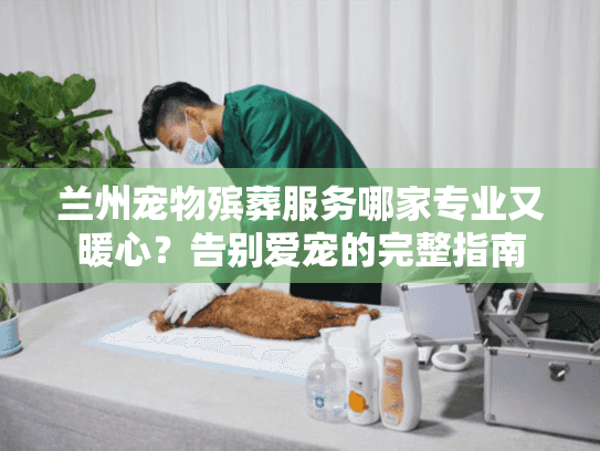 兰州宠物殡葬服务哪家专业又暖心？告别爱宠的完整指南