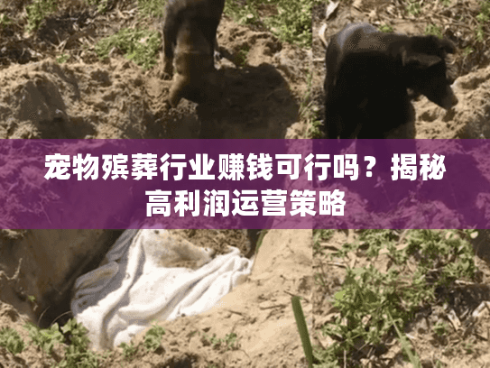 宠物殡葬行业赚钱可行吗？揭秘高利润运营策略