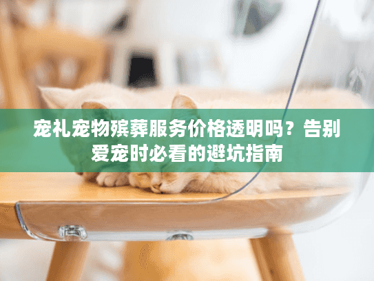 宠礼宠物殡葬服务价格透明吗？告别爱宠时必看的避坑指南