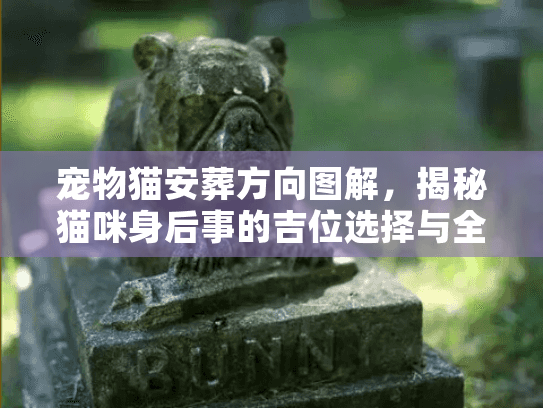 宠物猫安葬方向图解，揭秘猫咪身后事的吉位选择与全流程