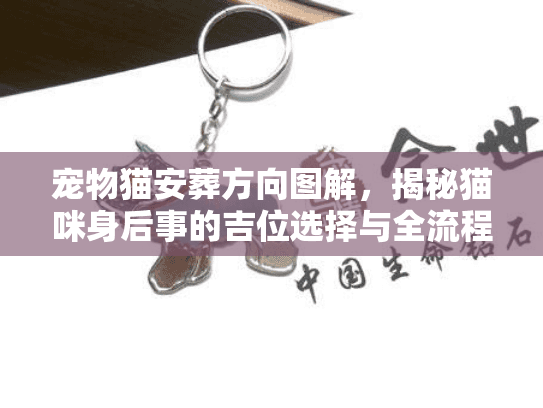 宠物猫安葬方向图解，揭秘猫咪身后事的吉位选择与全流程