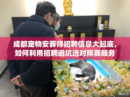 成都宠物安葬师招聘信息大起底图片