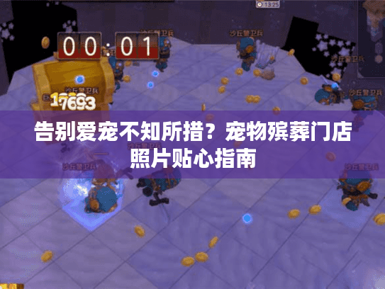 告别爱宠不知所措？宠物殡葬门店照片贴心指南
