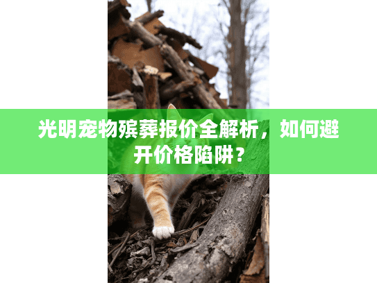 光明宠物殡葬报价全解析，如何避开价格陷阱？