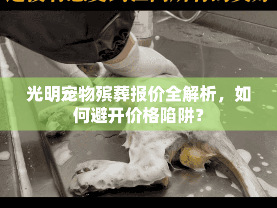 光明宠物殡葬报价全解析，如何避开价格陷阱？