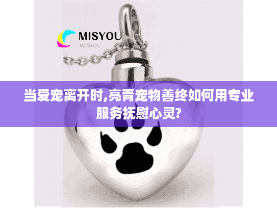 当爱宠离开时,亮青宠物善终如何用专业服务抚慰心灵?