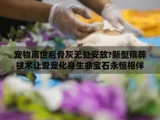 宠物离世后骨灰无处安放?新型殡葬技术让爱宠化身生命宝石永恒相伴