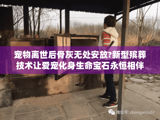 宠物离世后骨灰无处安放?新型殡葬技术让爱宠化身生命宝石永恒相伴