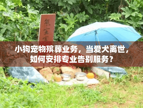 小狗宠物殡葬业务，当爱犬离世，如何安排专业告别服务？