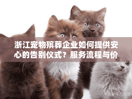 浙江宠物殡葬企业如何提供安心的告别仪式？服务流程与价格详解