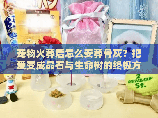 宠物火葬后怎么安葬骨灰？把爱变成晶石与生命树的终极方案
