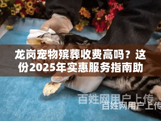 龙岗宠物殡葬收费高吗？这份2025年实惠服务指南助你安心告别爱宠