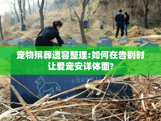 宠物殡葬遗容整理:如何在告别时让爱宠安详体面?