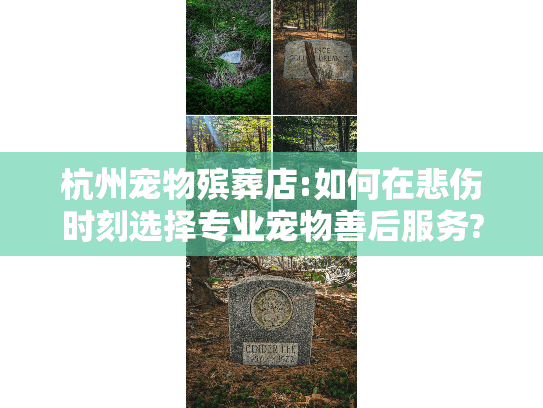 杭州宠物殡葬店:如何在悲伤时刻选择专业宠物善后服务?