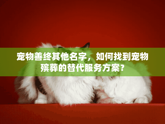 宠物善终其他名字，如何找到宠物殡葬的替代服务方案？