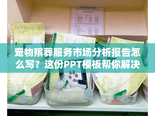 宠物殡葬服务市场分析报告怎么写？这份PPT模板帮你解决痛点