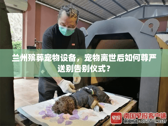 兰州殡葬宠物设备，宠物离世后如何尊严送别告别仪式？