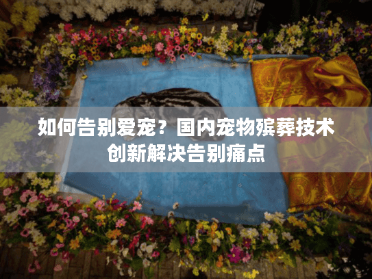 如何告别爱宠？国内宠物殡葬技术创新解决告别痛点
