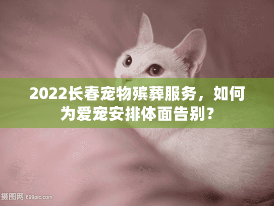 2022长春宠物殡葬服务，如何为爱宠安排体面告别？