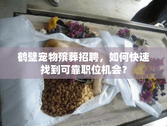鹤壁宠物殡葬招聘，如何快速找到可靠职位机会？