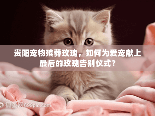 贵阳宠物殡葬玫瑰，如何为爱宠献上最后的玫瑰告别仪式？