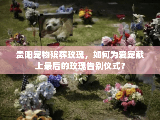 贵阳宠物殡葬玫瑰，如何为爱宠献上最后的玫瑰告别仪式？