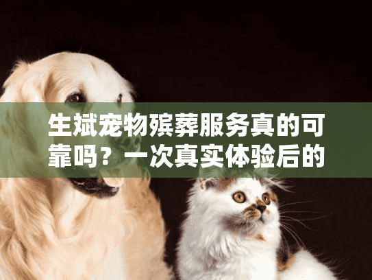 生斌宠物殡葬服务真的可靠吗？一次真实体验后的专业宠物善终选择指南