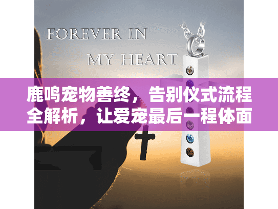 鹿鸣宠物善终，告别仪式流程全解析，让爱宠最后一程体面有尊严