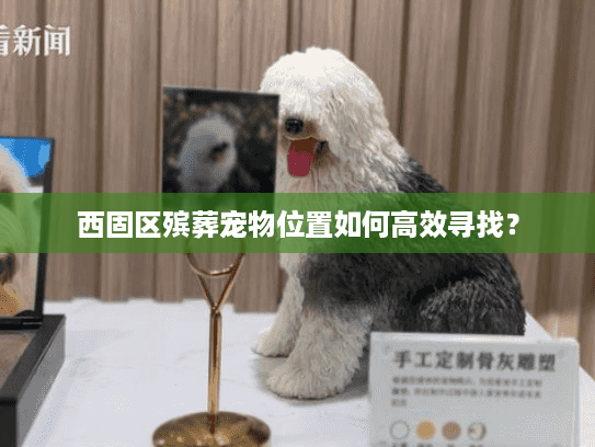 西固区殡葬宠物位置如何高效寻找？
