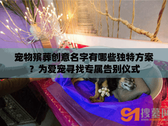宠物殡葬创意名字有哪些独特方案？为爱宠寻找专属告别仪式