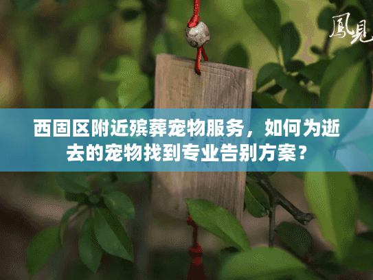 西固区附近殡葬宠物服务，如何为逝去的宠物找到专业告别方案？