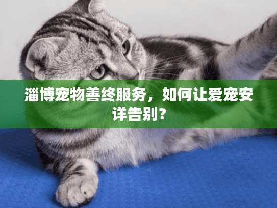 淄博宠物善终服务，如何让爱宠安详告别？
